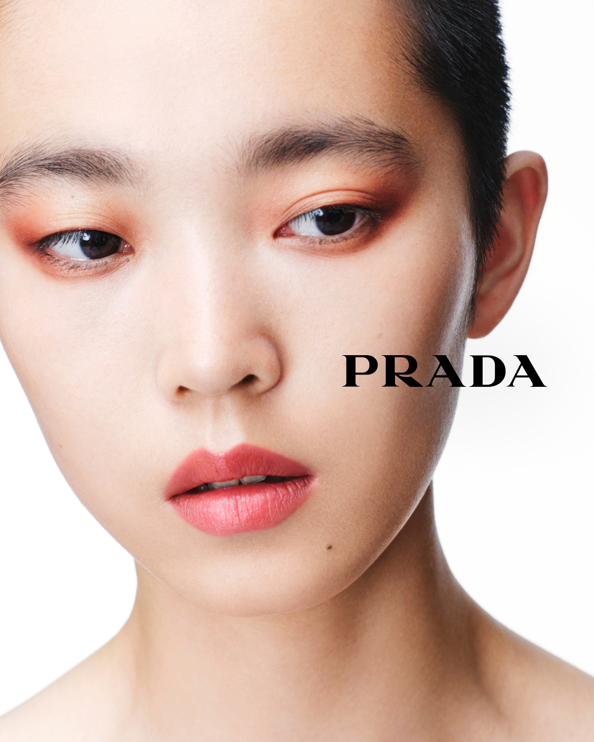 Prada hero