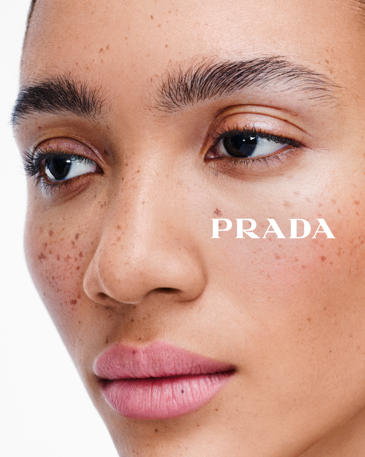 Prada hero